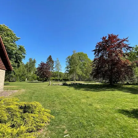 Cozy Holiday Home In Uden With Huge Private Garden-2